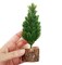 Tiny Christmas Tree, 6.5 inches, Miniature Tree for Dollhouse or Desk, Adorabilities